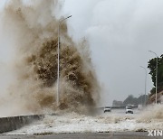 태풍 '개미'로 대만서 3명 사망…中푸젠성 15만명 대피(종합)