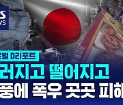 [글로벌D리포트] 부러지고 떨어지고…돌풍에 폭우 곳곳 피해