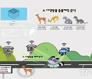 "전방 도로에 고라니, 사고 주의"…도로 야생동물 AI로 파악