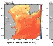 제주 바다에 고수온·저염분 물덩어리 밀려온다…대응태세 강화