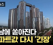 [자막뉴스] 부동산 '연쇄 파동' 오나...강남에 쏟아질 '로또 아파트'