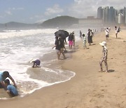 전국이 '찜통 더위'...도심 공원·해수욕장 '북적'