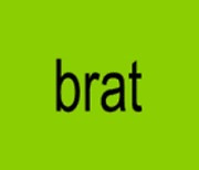 “카멀라는 brat” 이 한마디에 열광..브랫이 뭐기에