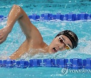 "자유형 400m와 계영에 다 건다"...김우민, 남자 자유형 800m·1500m 불참[파리올림픽]