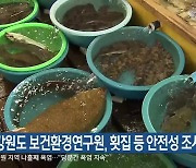 강원도 보건환경연구원, 횟집 등 안전성 조사