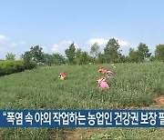 “폭염 속 야외 작업하는 농업인 건강권 보장 필요”