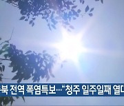 충북 전역 폭염특보…“청주 일주일째 열대야”