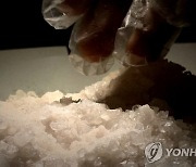 교도소서 3개월 새 마약 22차례 주고 받다가 ‘덜미’