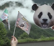 [헤이!월드] "푸바오! 4번째 생일 축하해"…중국까지 날아간 한국 팬들 外