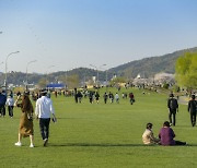 뉴욕 ‘센트럴파크' 부럽지 않다···대한민국 ‘푸른 놀이터’ 4차선 도로의 대혁명[전남톡톡]