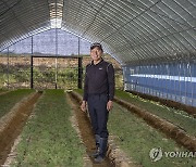 '청정지역 민통선 인삼' 전명수 파주개성인삼연구회 회장