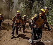 California Wildfires