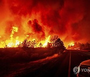 California Wildfires