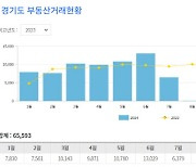 "경기도에 무슨일이?"…아파트 거래 급증에 매매가도 상승