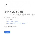 [속보]티몬 홈페이지 접속 장애 발생…"사이트에 연결할 수 없음"