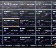 가상자산법 시행 1주일… ‘묻지마 급등’ 김치코인이 사라졌다