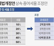 [fn사설] 세법 개정 발목잡는 野, 나무 아닌 숲을 보라