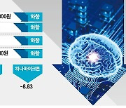 'AI주 고점론' 스멀스멀…"조정" VS "매수 기회"