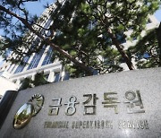 금감원 "커버드콜 ETF 분배율, 확정 수익 아냐…투자주의"