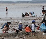 더위도 잊고…갯벌 체험 삼매경[포토뉴스]