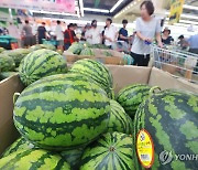 여름철 대표 과일 수박 가격 상승