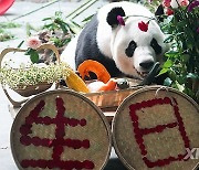 CHINA-QINGHAI-XINING-GIANT PANDAS-BIRTHDAY CELEBRATION (CN)