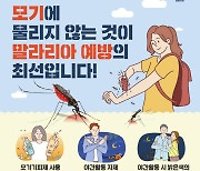 구로구, 내달부터 말라리아 신속진단검사 무료 실시[동네방네]