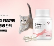 고양이 신장병 관리보조제 '인텐시브 프로토콜' 예약 판매 시작