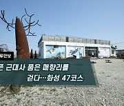 [하루만보]아픈 근대사 품은 매향리를 걷다…화성 47코스