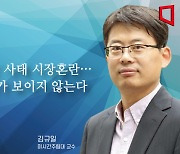 [논단]'티메프' 사태 시장혼란…공정위가 보이지 않는다