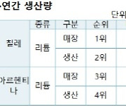 “中은 이미 남미에 눈독…전기차·배터리 자원 협력 증진해야”