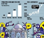 “코스피? 난 코끼리야”...국장보다 상승률 5배, 개미들 1조 뭉칫돈