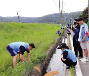 현대제철, 멸종위기종 금개구리 보전 활동