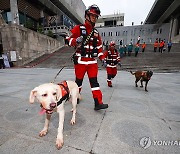 수색견과 함께 실종자 수색