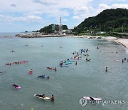 서퍼들의 천국