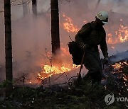 USA CALIFORNIA PARK FIRE