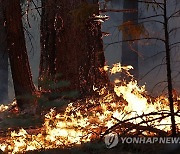 USA CALIFORNIA PARK FIRE