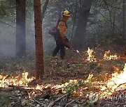 USA CALIFORNIA PARK FIRE