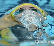 Paris Olympics Swimming