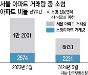 "60㎡ 이하 아파트 거래가 3분의 1"…서울 초소형 아파트 인기