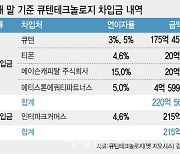 큐텐, 무리한 M&A…자회사 돈 끌어썼다