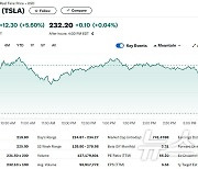 모건스탠리, 자동차 중 테슬라가 원픽…테슬라 5.6% 급등(상보)