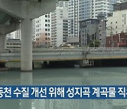 동천 수질 개선 위해 성지곡 계곡물 직유입