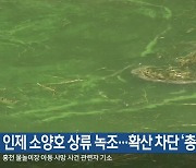 인제 소양호 상류 녹조…확산 차단 ‘총력’