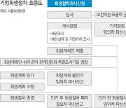 보전처분 명령, 정산 등 중지…다음달 2일 대표자 심문 진행