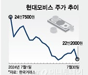 17% '뚝' 이 주식, 반등 언제?…"당분간 힘들다" 눈높이 낮춘 증권가