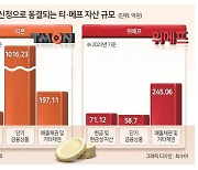 “여행사도 티메프 환불 동참”...결제대행사, 당국에 요청