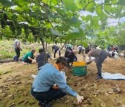 괴산군의회, 영동군 찾아가 수해복구활동