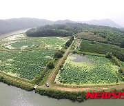 울산 회야댐, 환경부 기후대응댐 후보지에 선정