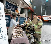 현대차, '사륙, 사칠' 영상 유튜브 조회수 3천만 뷰 달성